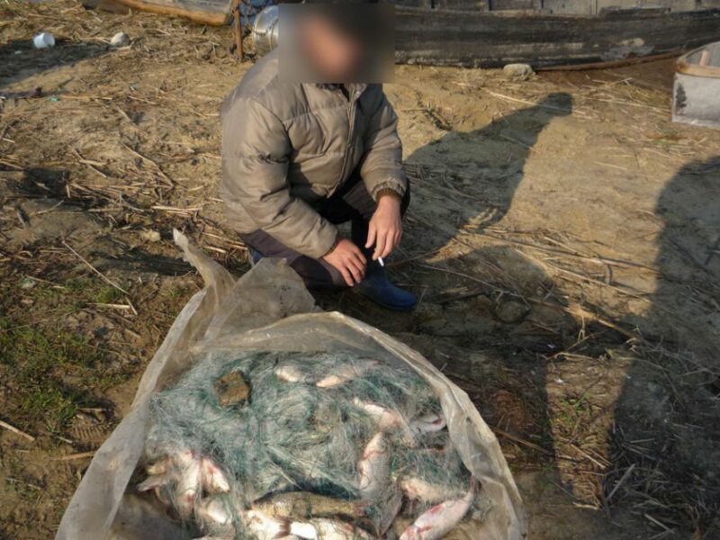 braconaj la gura râului. poliția a confiscat o barcă și peștele capturat