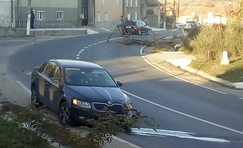 un cal nesupravegheat a provocat un accident la șeica mare