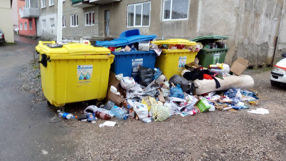 FOTO - EcoSal în libere? Gunoaiele nu au mai fost adunate de aproximativ o săptămână 2 foto - ecosal în libere? gunoaiele nu au mai fost adunate de aproximativ o săptămână