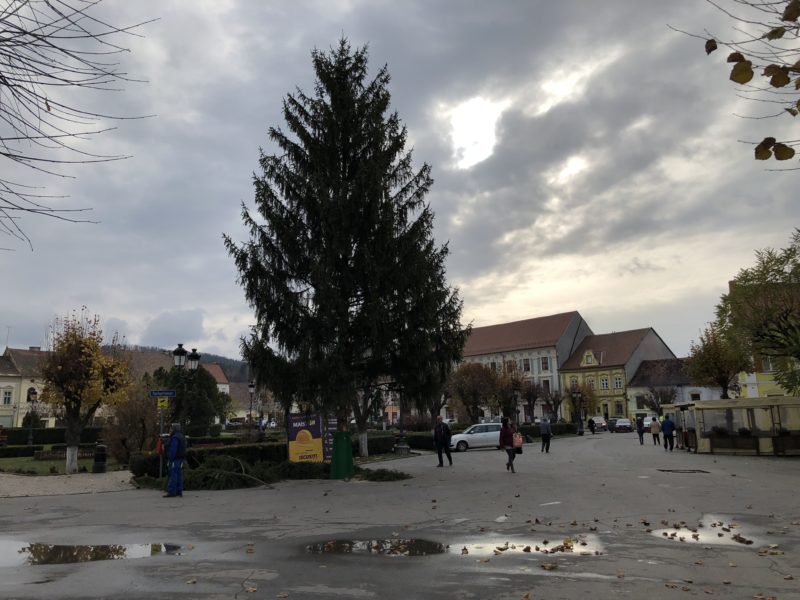 bradul de crăciun amplasat în piața regele ferdinand i