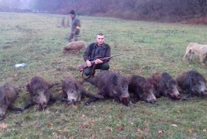 foto video sibian arestat pentru braconaj de urși. arme letale și trofee găsite la el acasă