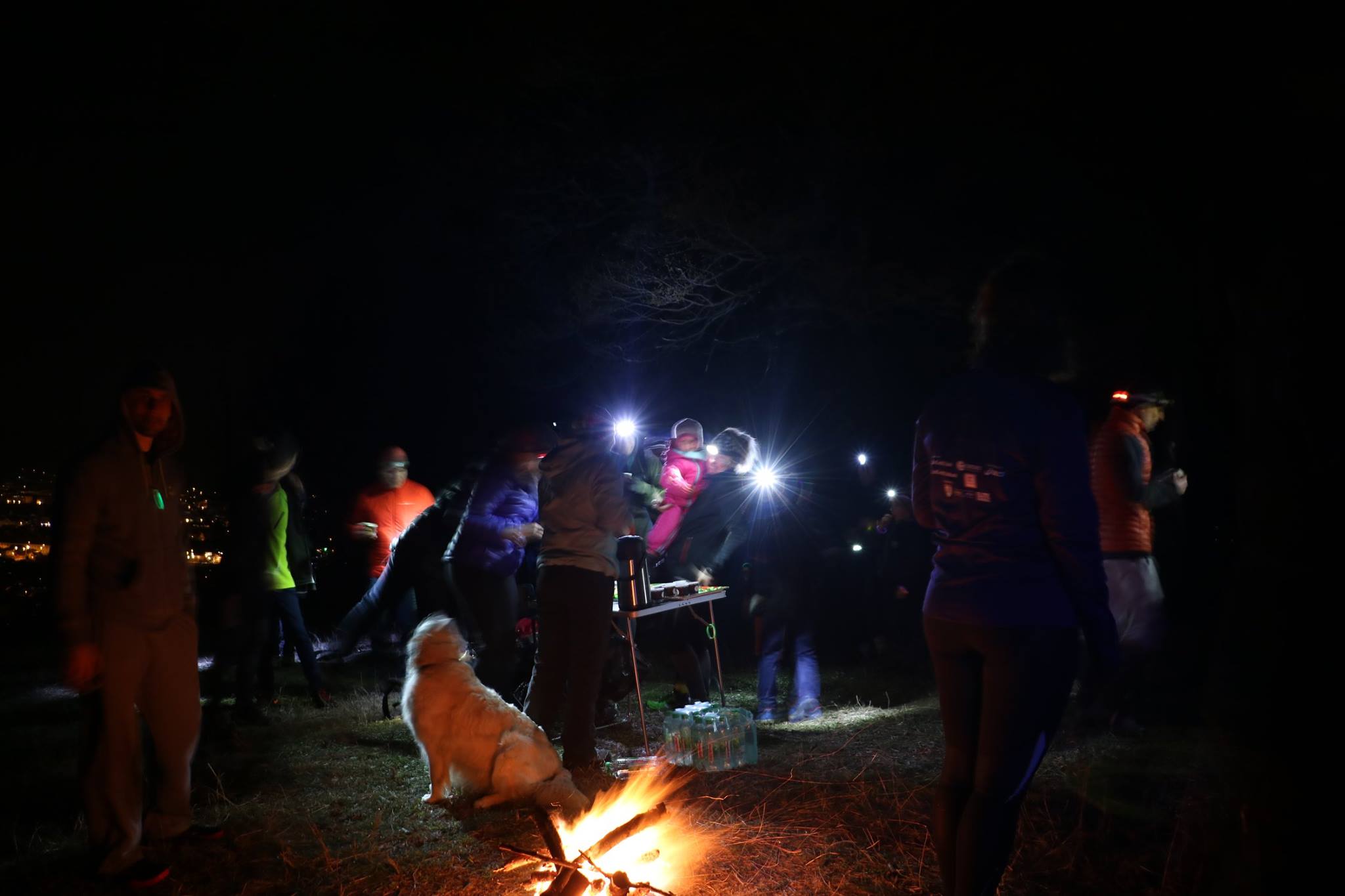 FOTO - Peste 60 de participanti au luat parte la Ora Pământului 2 foto - peste 60 de participanti au luat parte la ora pământului