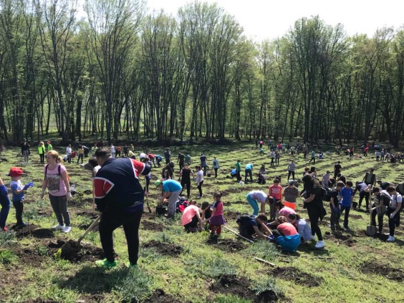 foto - ”plantează în românia”, cea mai amplă acțiune de înverzire a româniei