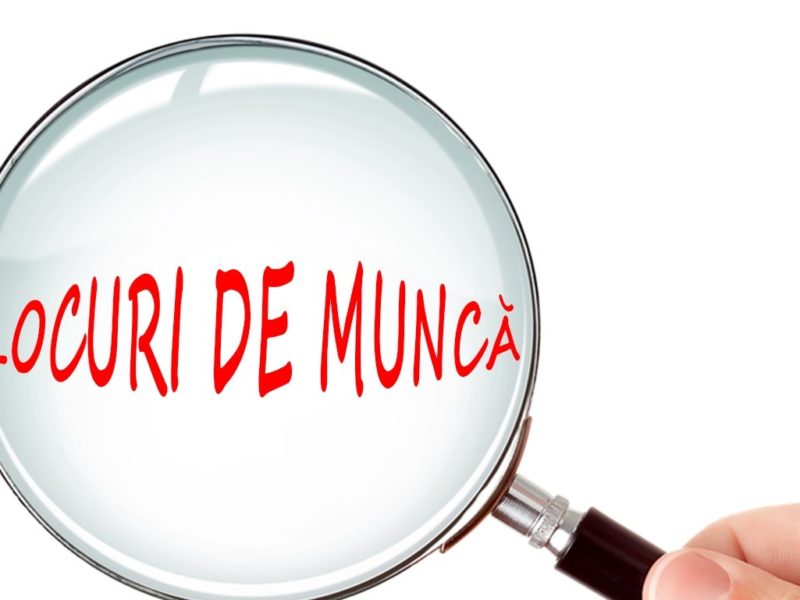 locuri de muncă în diferite domenii pentru medieşeni. lista completă