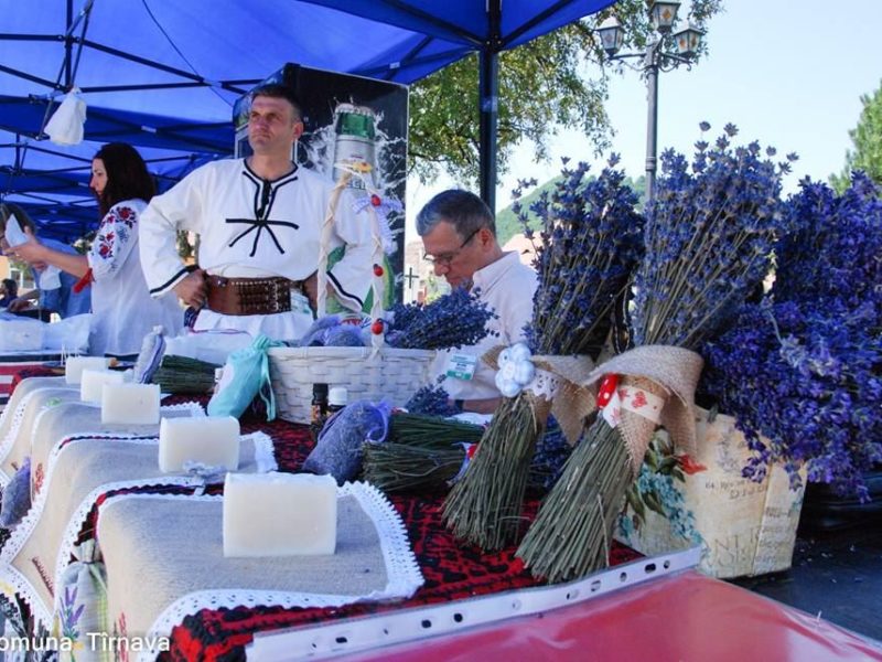 eveniment de top la târnava - poftiți la festivalul caprei
