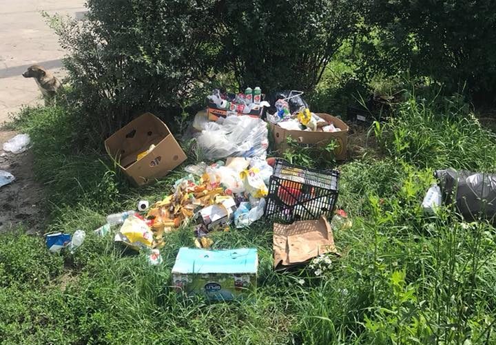 nesimțire fără limite la mediaș. au aruncat gunoiul la ieșire din oraș