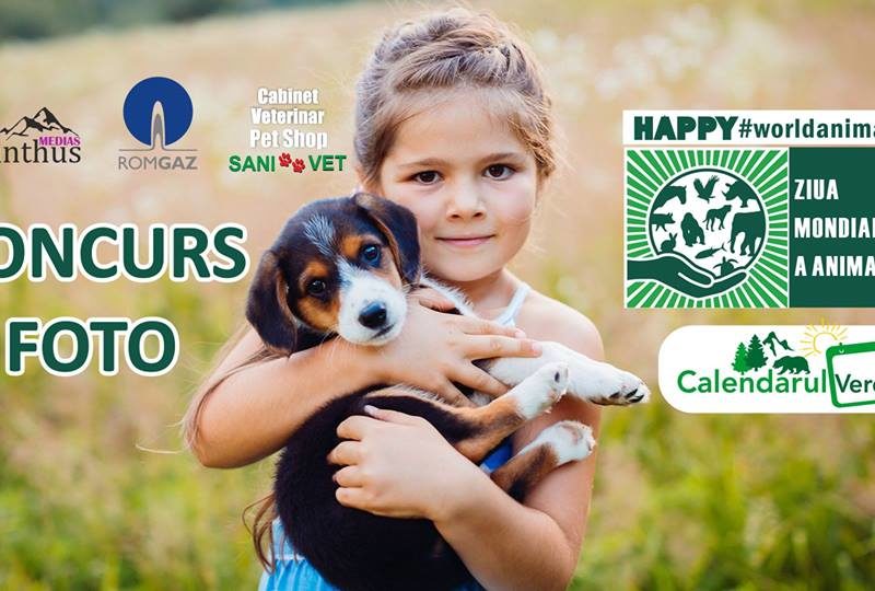 concurs foto de ziua mondială a animalelor la mediaș. participă și tu la concurs