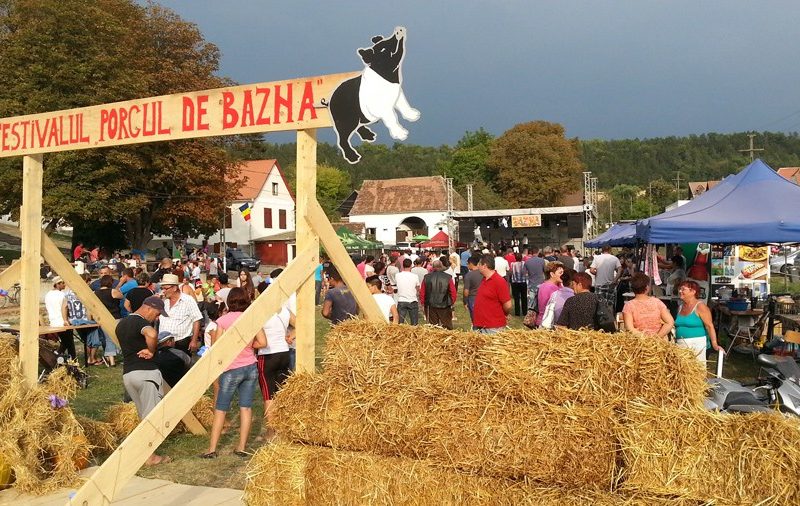festivalul porcului, fără porci. la bazna, în week-end