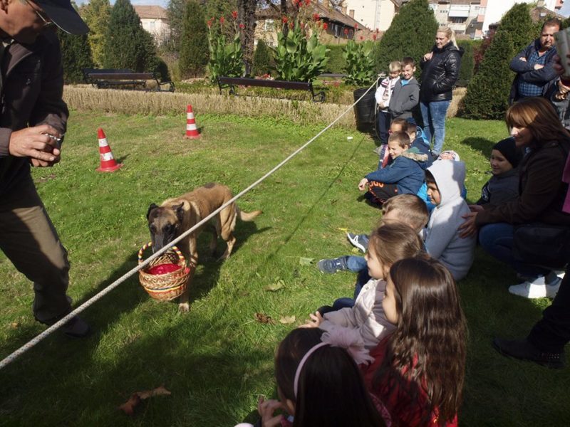 foto - demonstrații de dresaj canin de ziua mondială a animalelor la mediaș