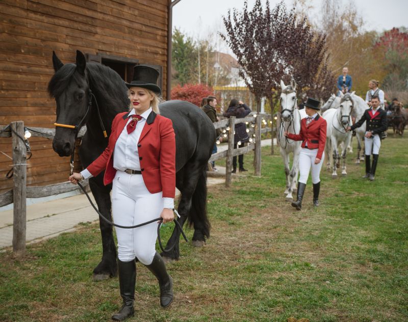 Peste 1500 de participanți la prima ediție Dracula Horse Festival de la Daneș 6 peste 1500 de participanți la prima ediție dracula horse festival de la daneș