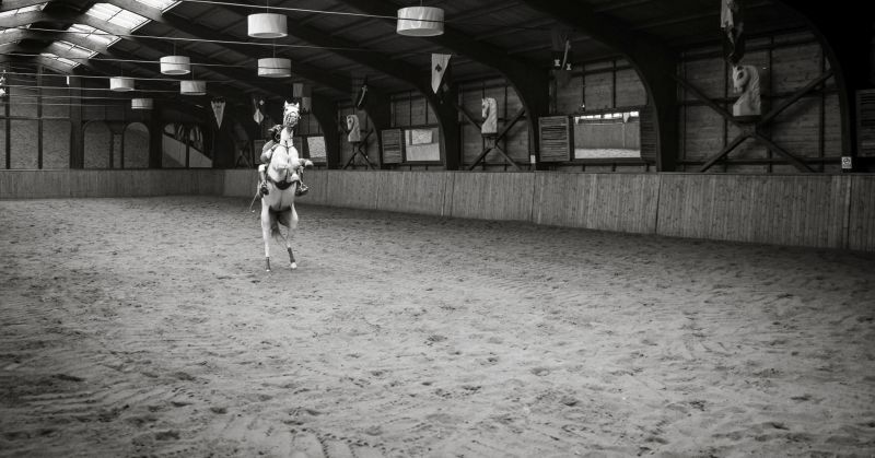 Peste 1500 de participanți la prima ediție Dracula Horse Festival de la Daneș 5 peste 1500 de participanți la prima ediție dracula horse festival de la daneș