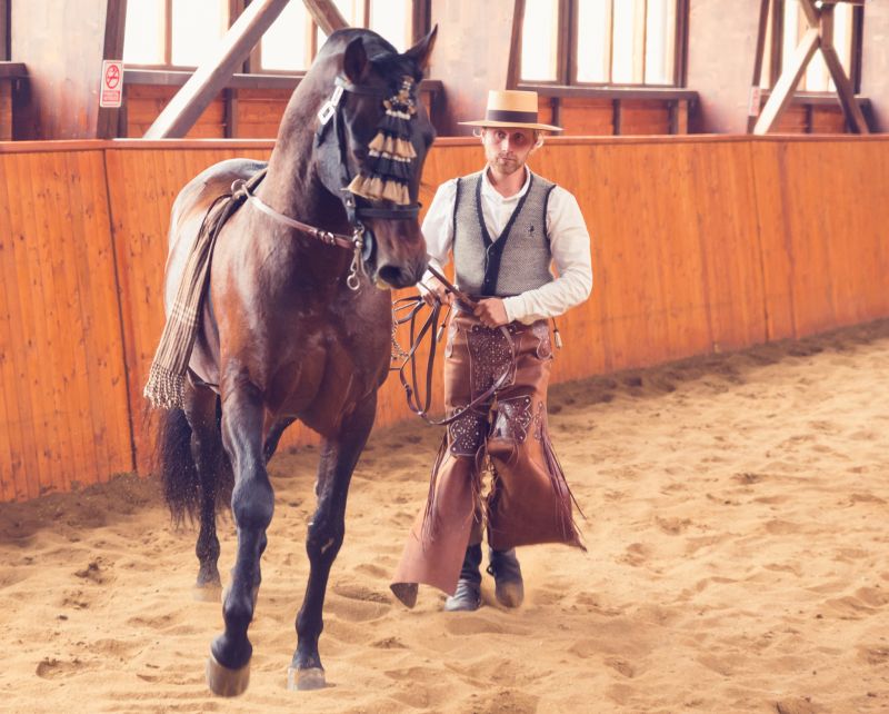 Peste 1500 de participanți la prima ediție Dracula Horse Festival de la Daneș 4 peste 1500 de participanți la prima ediție dracula horse festival de la daneș