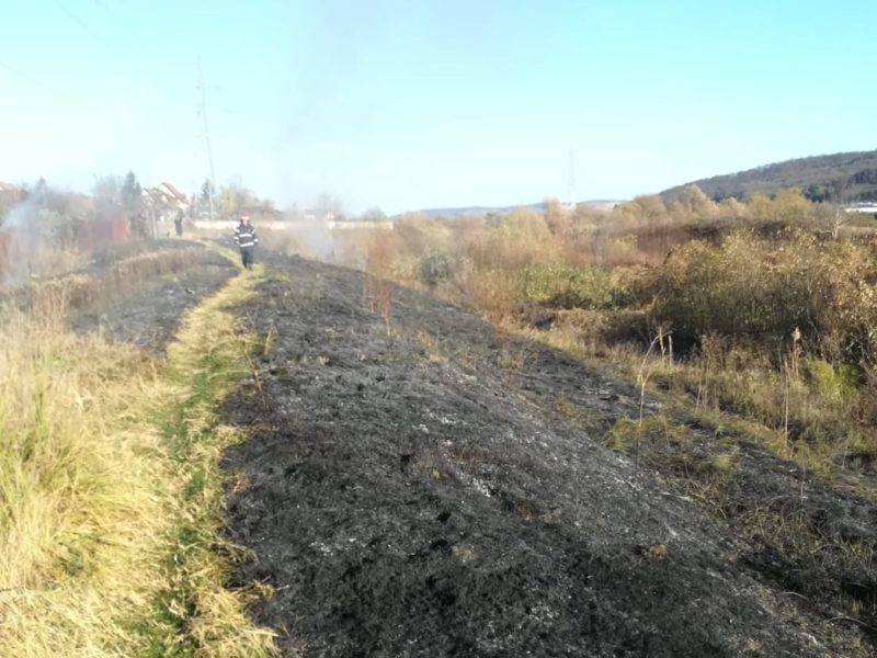 foto - incendiu de vegetație la mediaș