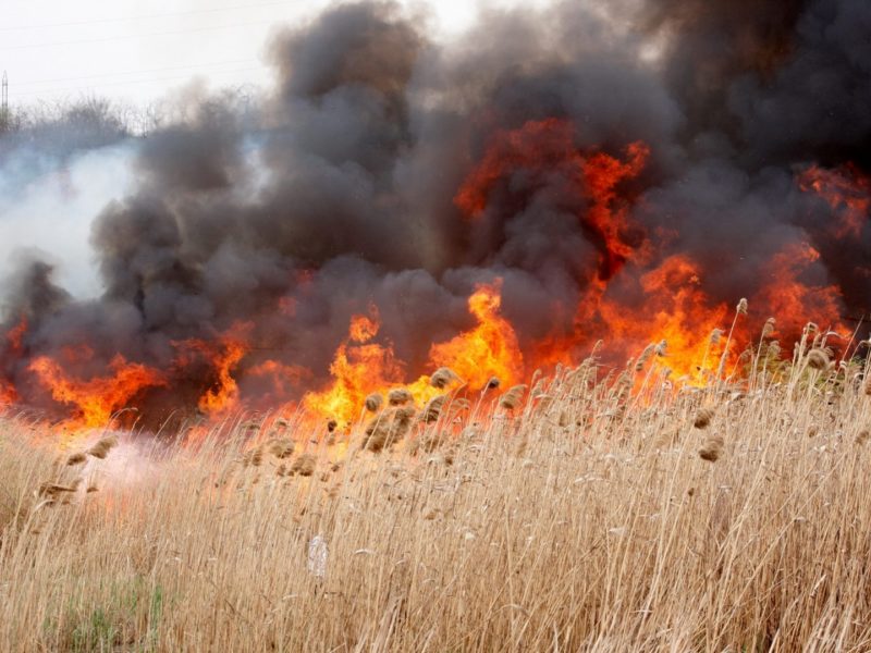 zeci de incendii în județul sibiu - recomandările pompierilor