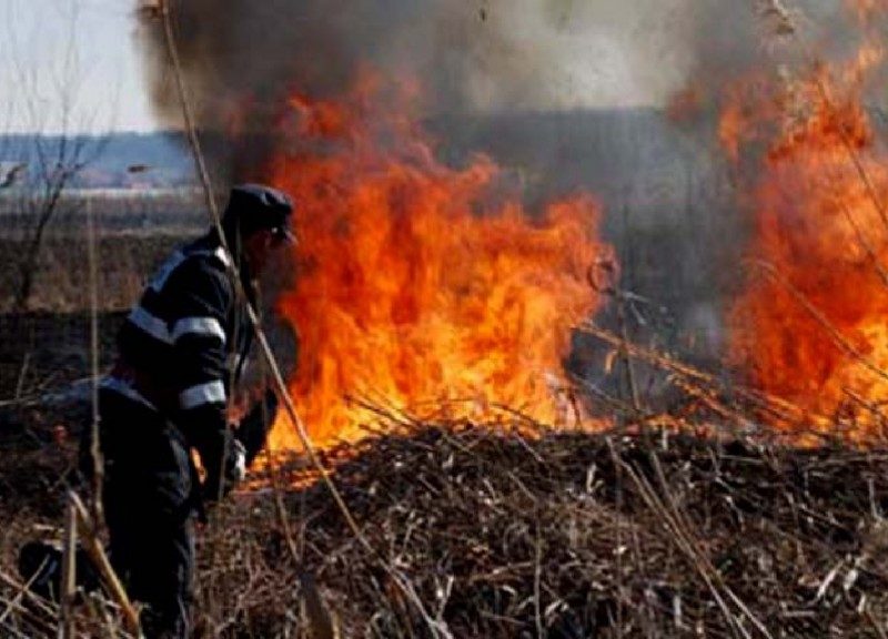 incendiu de vegetație la mediaș, pe strada moșnei