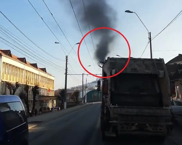 ecosal mediaș se luptă cu nesimțirea medieșenilor pentru care spațiul public e groapă de gunoi