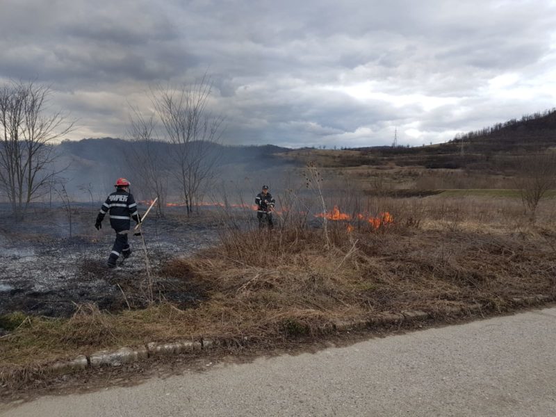 foto - incendiu de vegetație uscată la mediaș