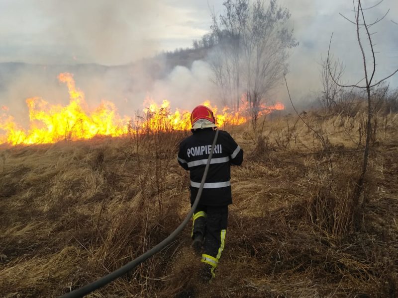 foto - incendiu de vegetație la mediaș