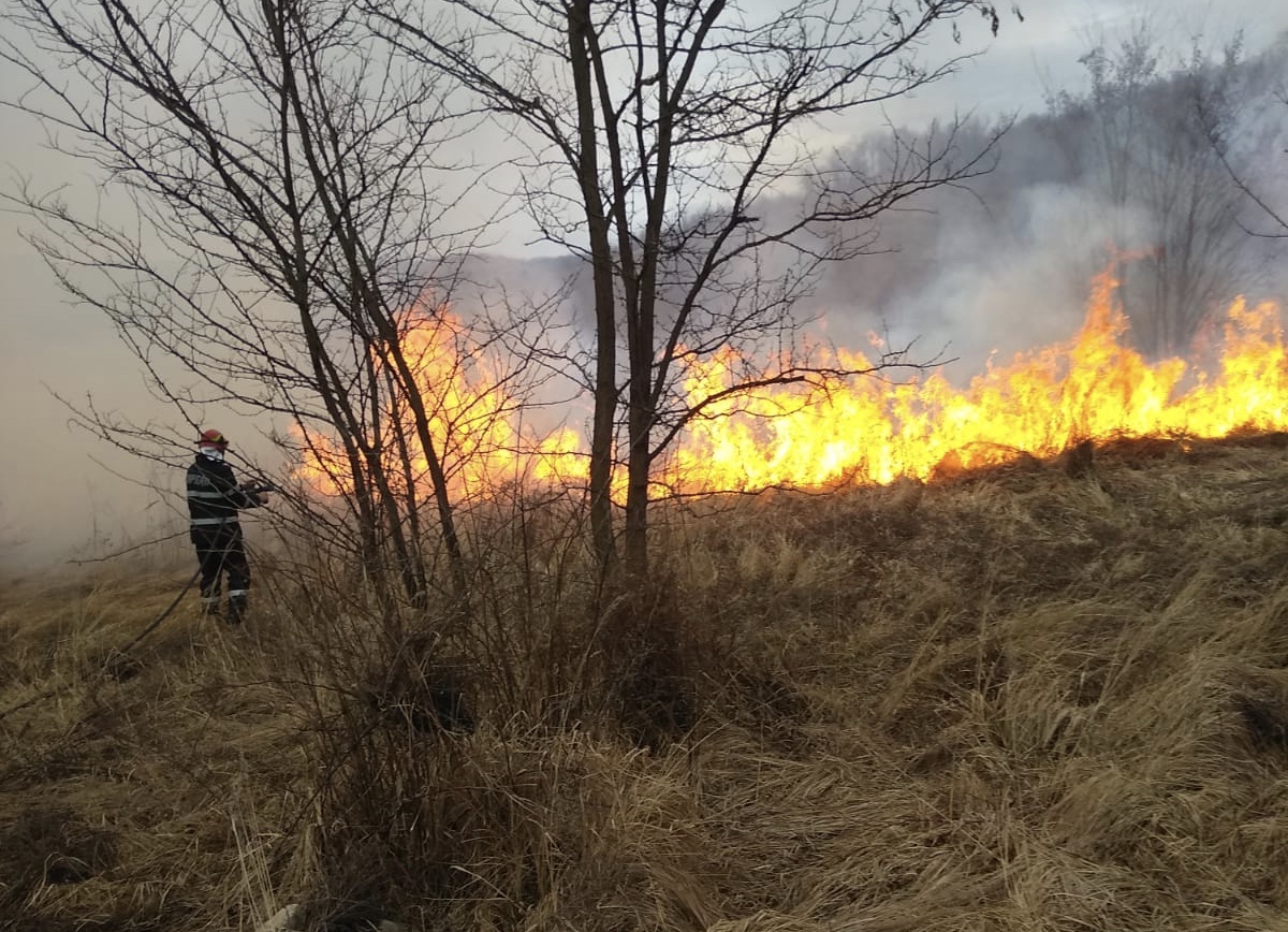FOTO - Incendiu de vegetație la Mediaș 2 foto - incendiu de vegetație la mediaș