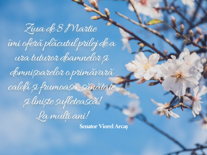 mesaj de 8 martie de la senatorul viorel arcaș