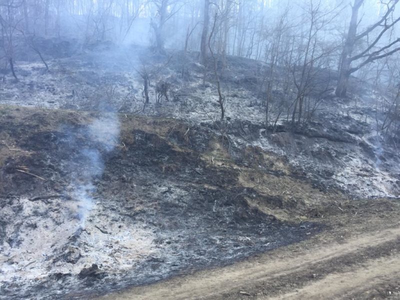 foto incendiu la valea viilor. patru hectare de vegetație uscată au ars