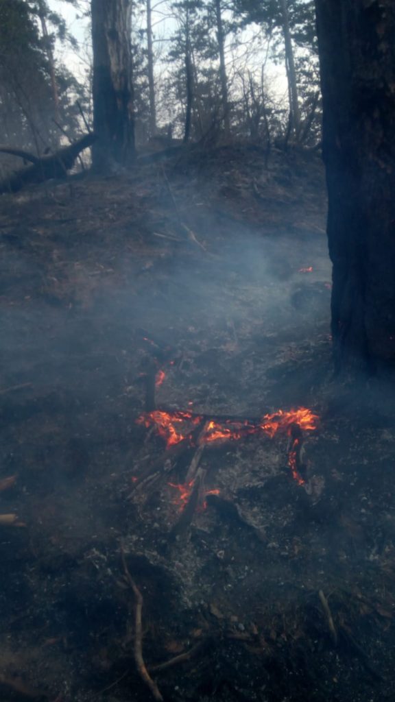 foto incendiu de pădure la mălâncrav – pompierii se luptă de 24 de ore să stingă flăcările