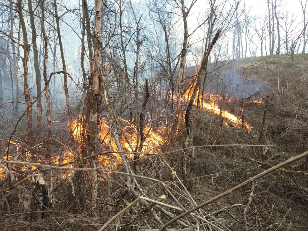 FOTO Incendiu de pădure la Mălâncrav – Pompierii se luptă de 24 de ore să stingă flăcările 2 foto incendiu de pădure la mălâncrav – pompierii se luptă de 24 de ore să stingă flăcările