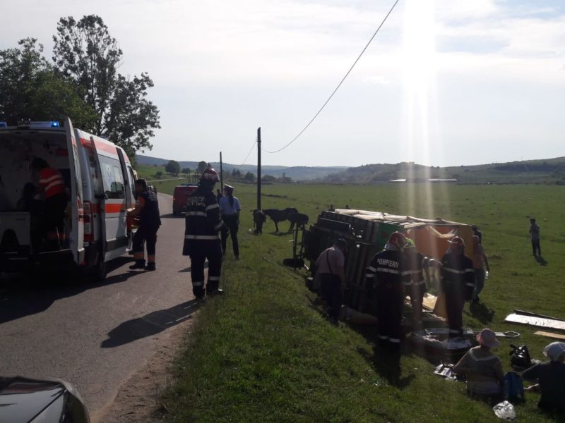 grav accident la boian - zece turiști aruncați în șanț