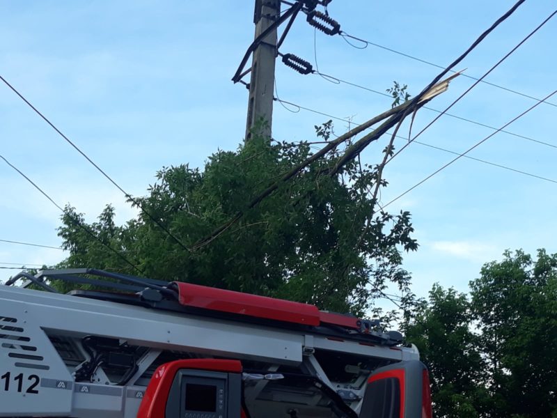 foto pompierii medieșeni au intervenit pentru tăierea unui brad ce stătea să cadă