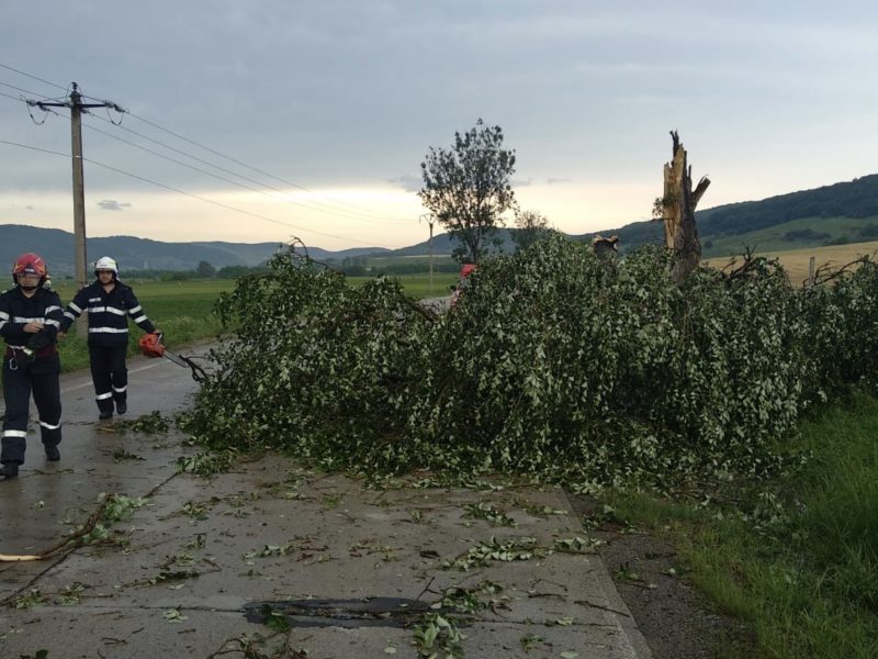 foto copac căzut pe carosabil pe dn14. intervin pompierii