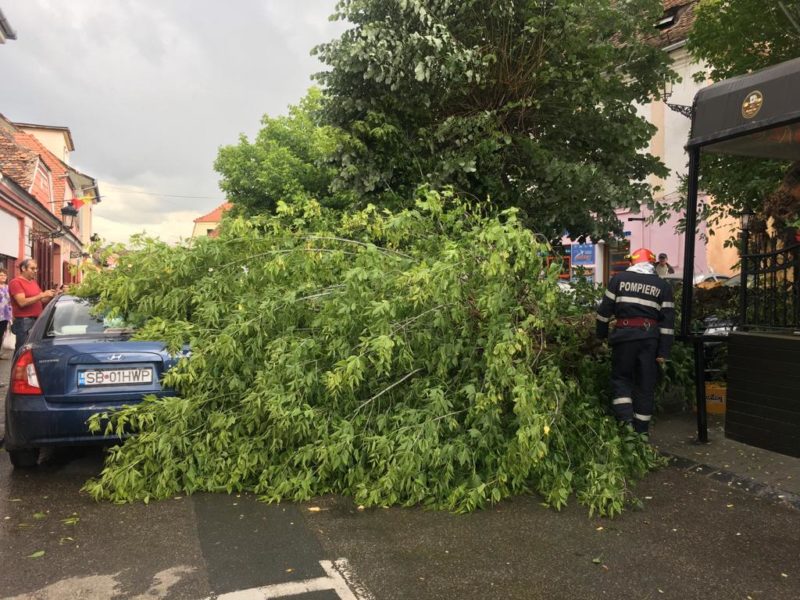 foto - copac căzut peste o mașină, în mediaș