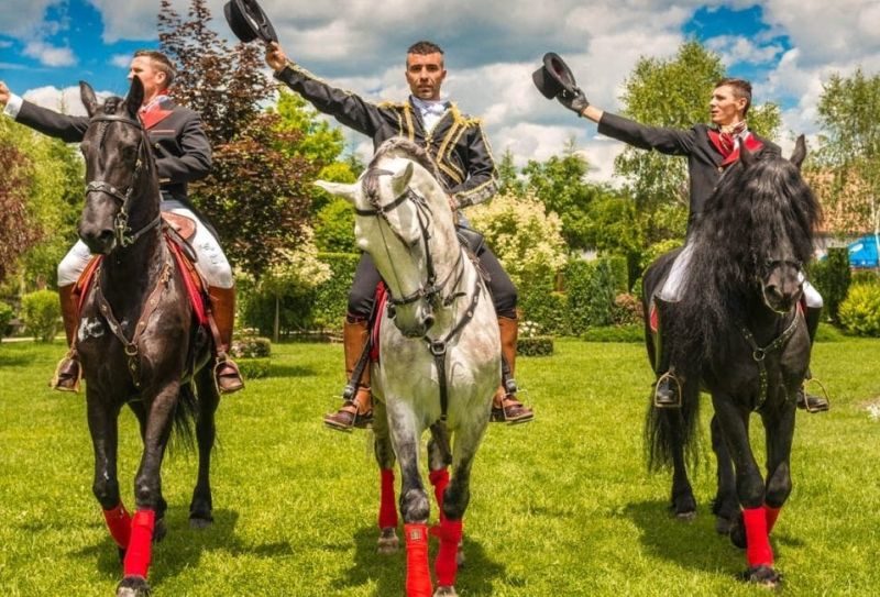 dracula horse festival - pentru iubitorii de cai de rasă, măncare bună și peisaje idilice