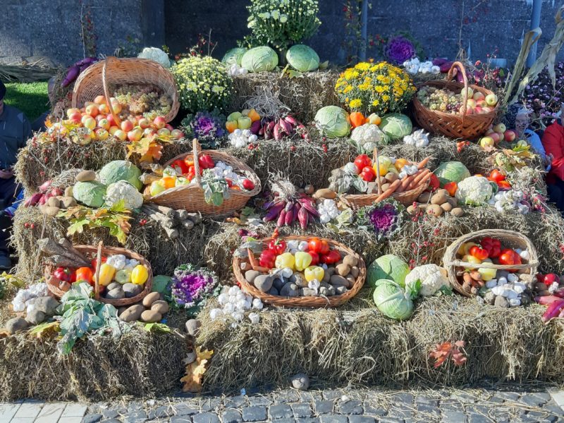 galerie foto: ziua recoltei și vremea bună au scos medieșenii afară din case