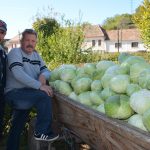 foto: tradiția verzei merge mai departe la moșna