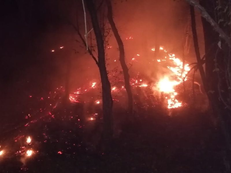 nouă incendii de vegetație marți după-amiază în județ - unul a fost la dumbrăveni