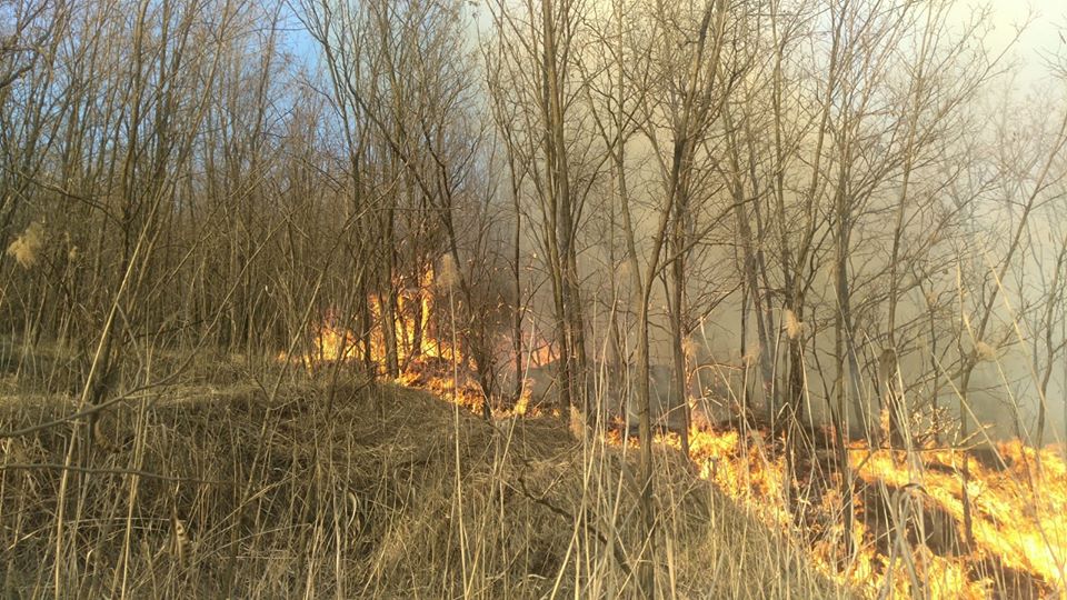 FOTO Incendiu de vegetație puternic la Târnăvioara - Pompierii au stins focul după două zile 2 foto incendiu de vegetație puternic la târnăvioara - pompierii au stins focul după două zile