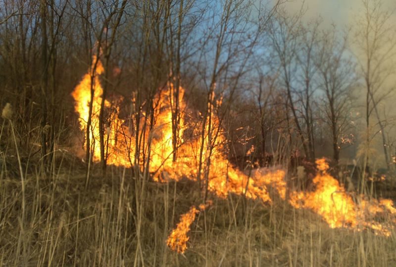 foto incendiu de vegetație puternic la târnăvioara - pompierii au stins focul după două zile