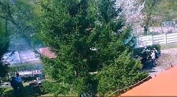 video chermeză în plină pandemie la centrul chinologic sibiu