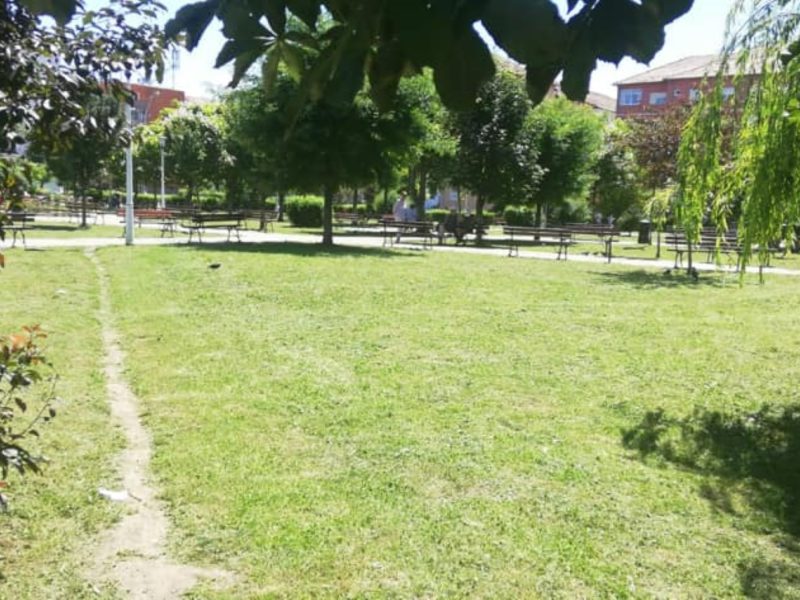 foto se cosește iarba din spațiile verzi și parcuri - prichindeii nu au voie în locurile de joacă