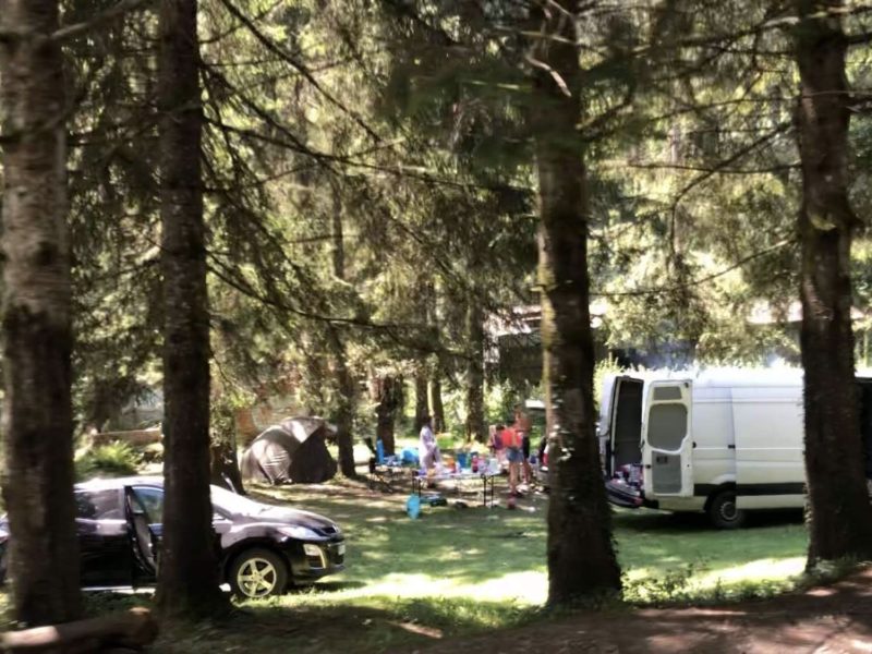foto video niște ”bine crescuți" din blajel au contaminat valea avrigului cu gunoaie