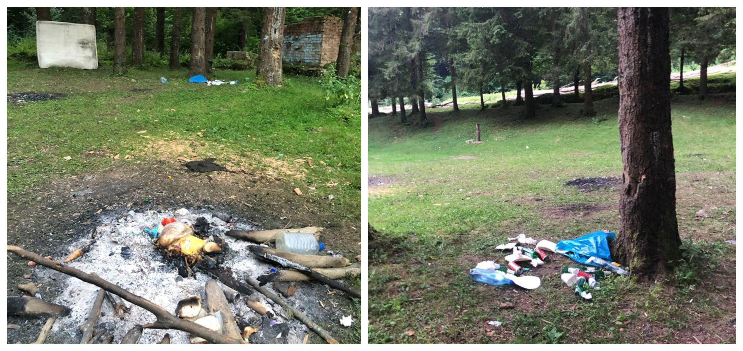 foto video niște ”bine crescuți" din blajel au contaminat valea avrigului cu gunoaie