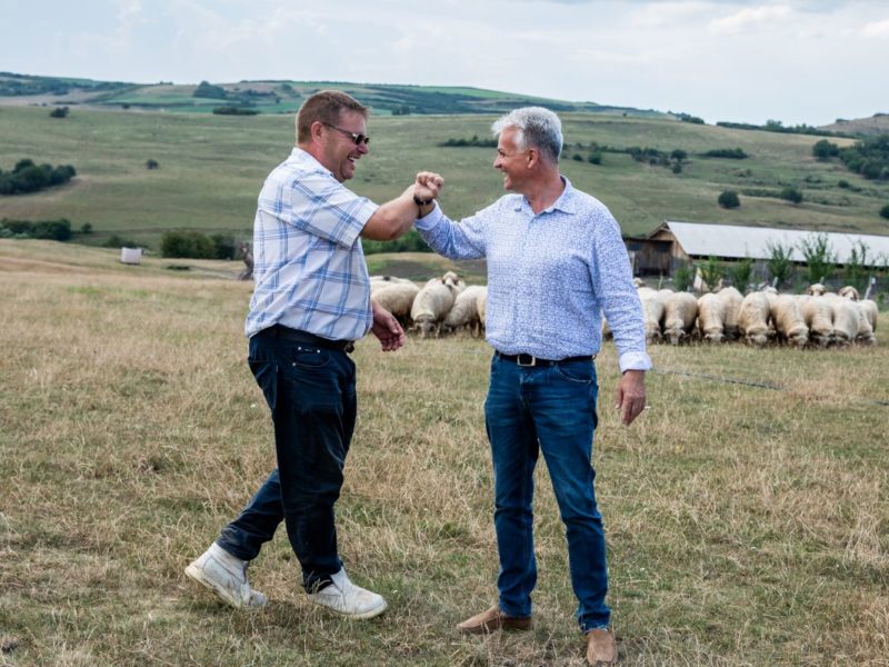 scrisori către oamenii județului sibiu - dragi locuitori ai țării secașelor, votați cu inima