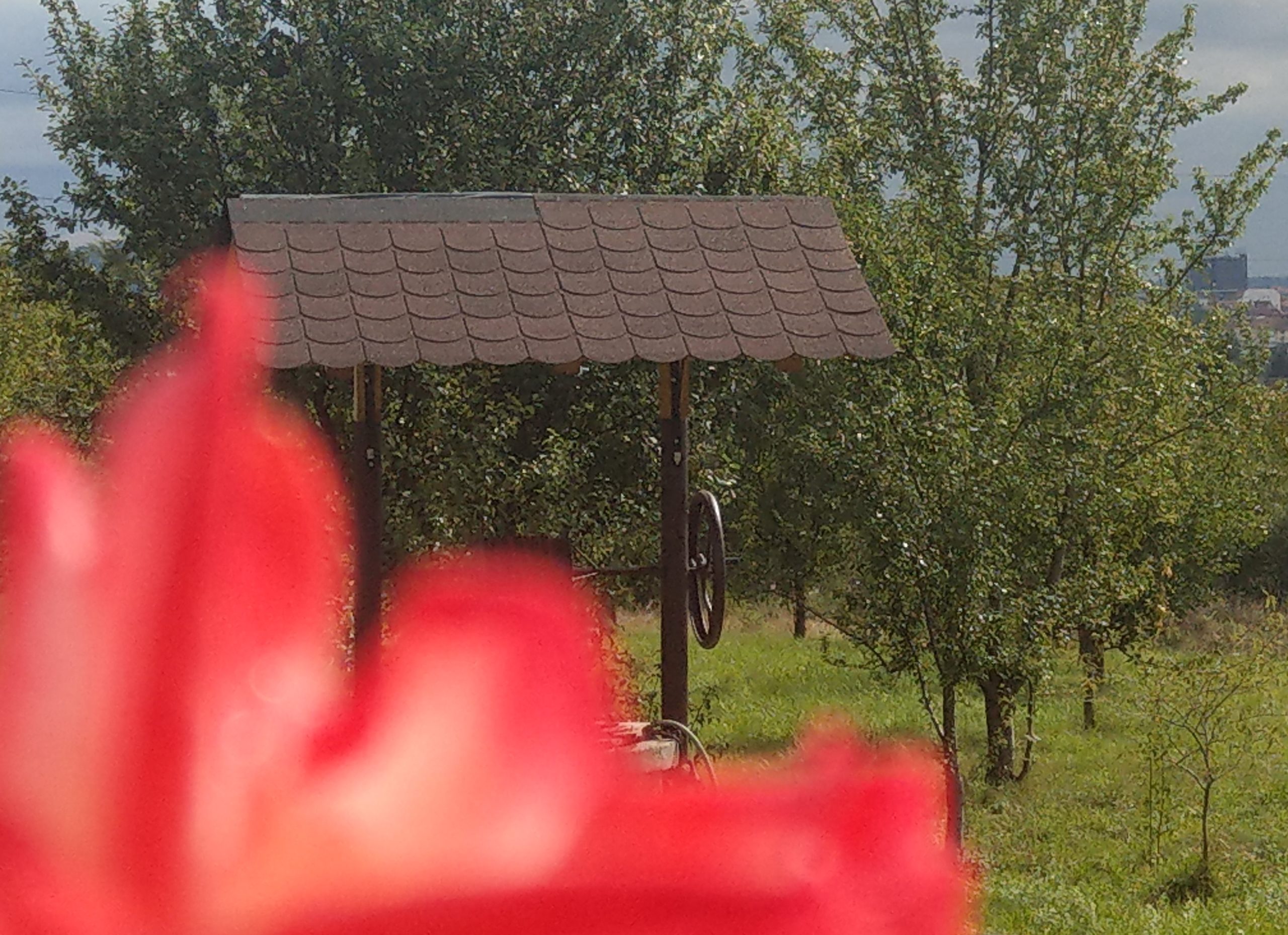proiectul lui petru florea pentru turism inclusiv la bazna - județul sibiu în top destinații mondiale