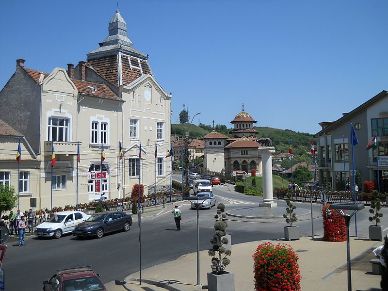 blajul a intrat în carantină - ce trebuie sa știi