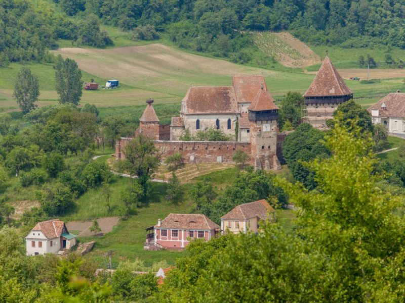 acțiune de ecologizare în satul alma vii