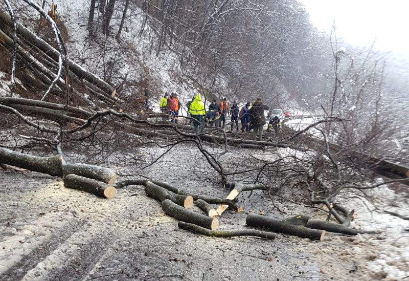 video foto zăpada și copacii căzuți au blocat total drumul dintre mediaș și sighișoara