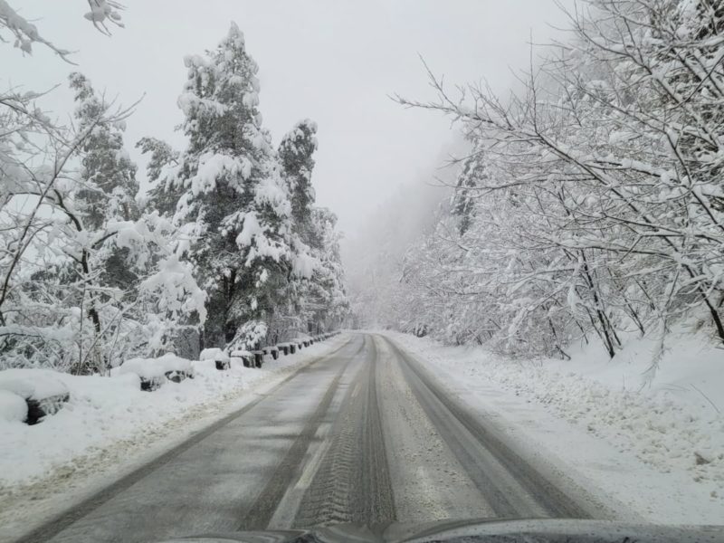 foto video mediașul, sub ploaie și lapoviță - cod galben de precipitații până sâmbătă