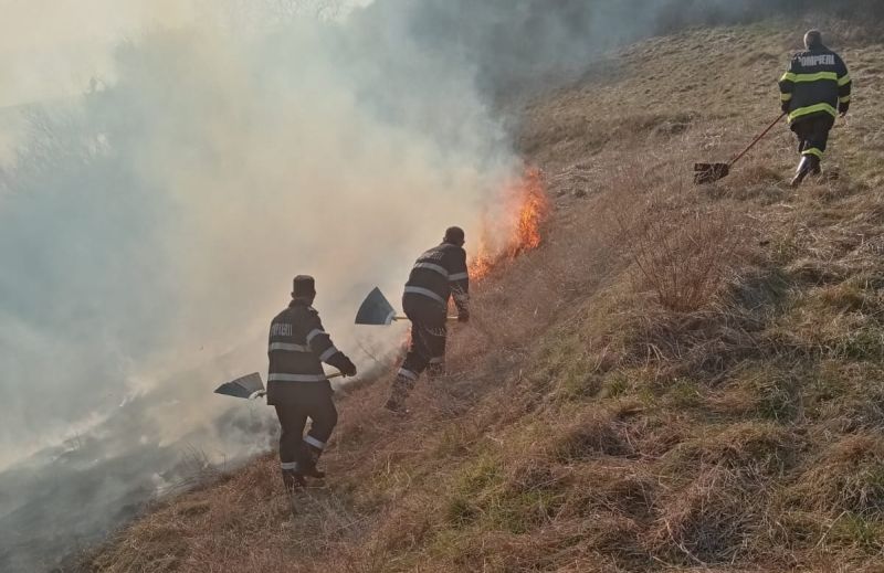 FOTO Incendii de vegetație la Mediaș, Axente Sever și Târnava 5 foto incendii de vegetație la mediaș, axente sever și târnava