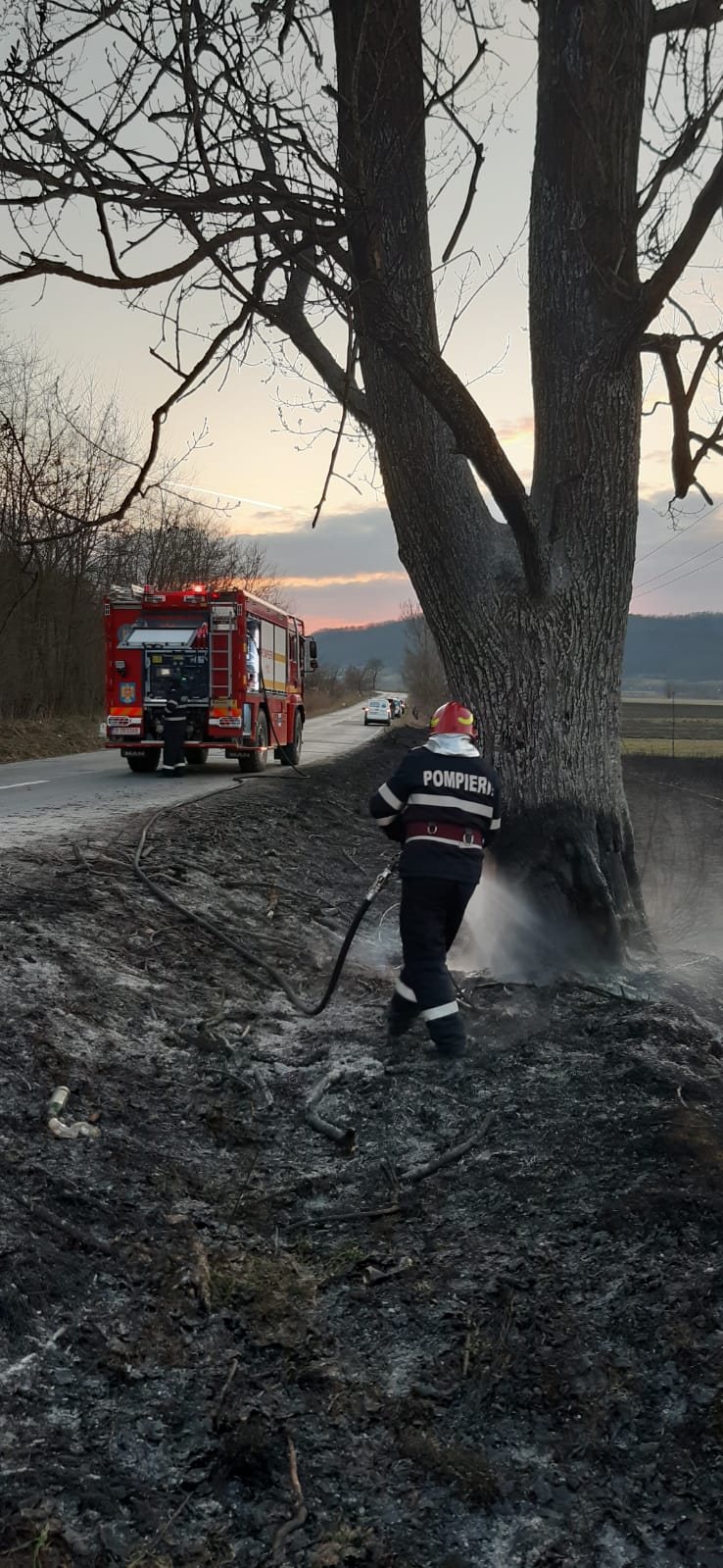 foto incendii de vegetație la mediaș, axente sever și târnava