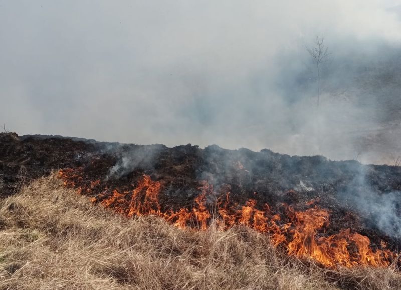 foto incendii de vegetație la mediaș, axente sever și târnava
